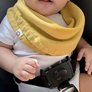 INDI by KISHU - 2 bibs and a pacifier clip